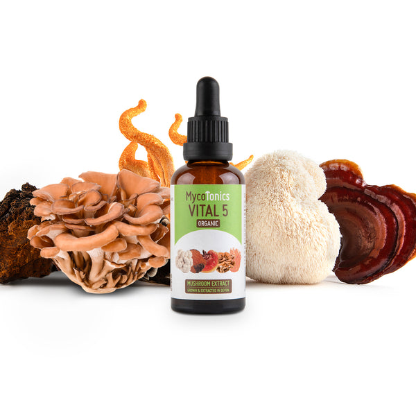 Organic Vital 5 Mushroom Blend Complex (50ml)