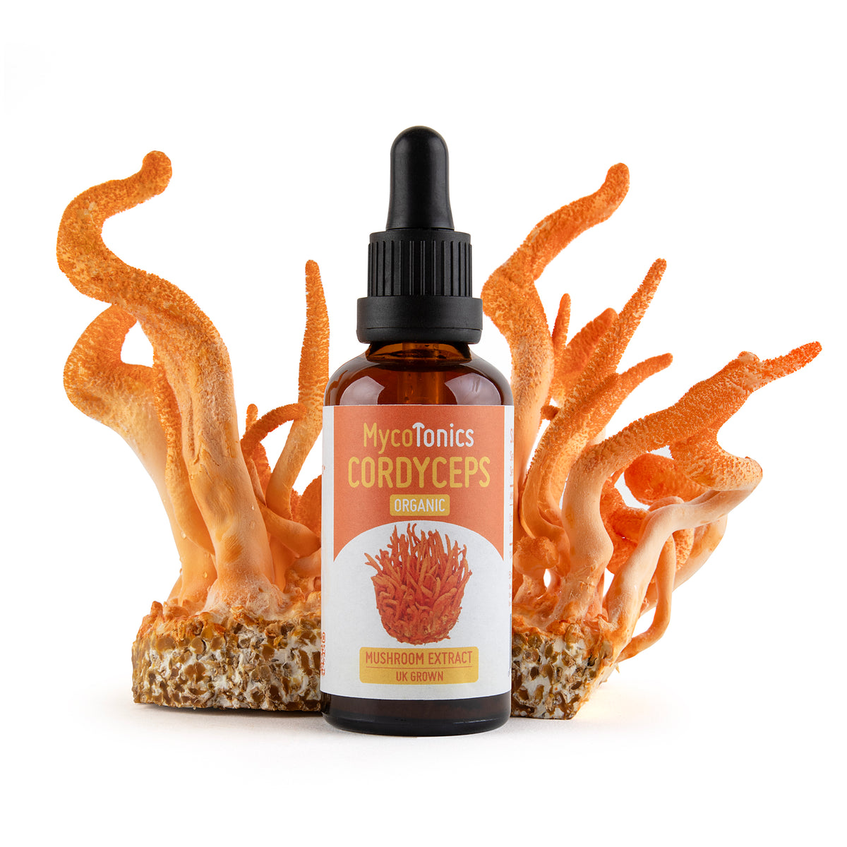Organic Cordyceps Mushroom Extract