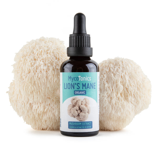 Organic Lion's Mane Mushroom Extract Supplement (50ml)